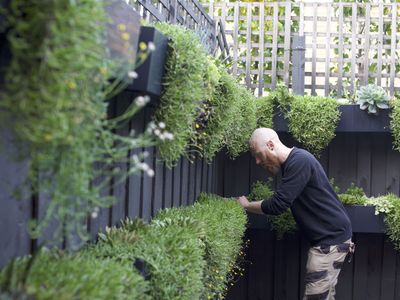 high-margin-plant-service-business-9