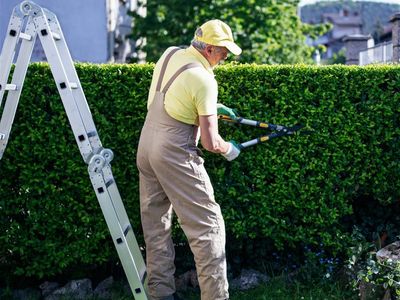coming-soon-horticultural-garden-maintenance-business-2
