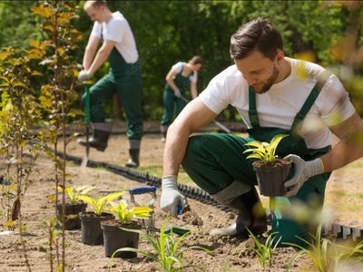 premium-landscaping-and-maintenance-business-strong-growth-1