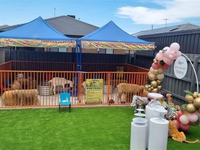 the-ultimate-kids-party-event-hire-business-fun-farm-2u-4