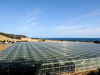 hydroponic-vegetable-crop-farm-land-buildings-amp-machinery-7