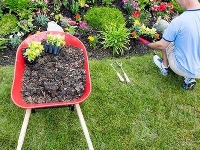 servicing-the-nursery-and-landscaping-industry-sector-1
