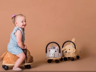 wheely-bug-toys-iconic-australian-toys-online-business-5