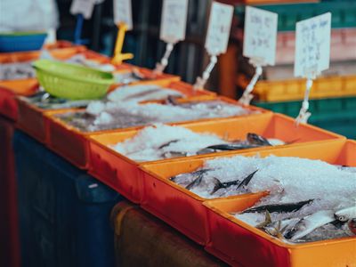 coming-soon-fresh-seafood-business-easy-to-run-0