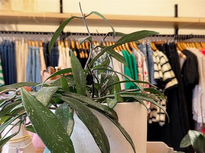 fashion-boutique-flexible-lifestyle-business-2