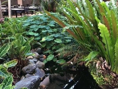 cairns-courtyard-cafe-2