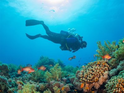 bali-dive-center-for-sale-0
