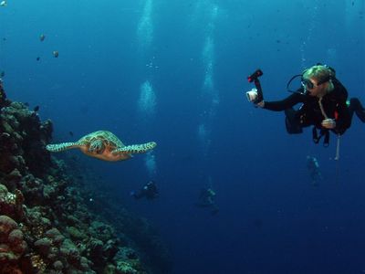 coming-soon-scuba-diving-business-bali-2