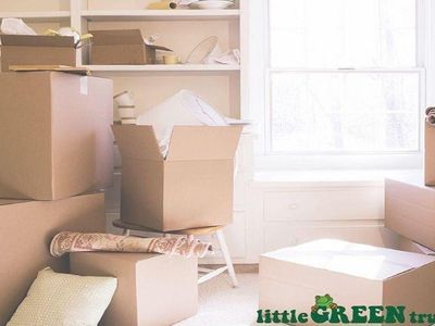 opportunity-to-own-homebased-furniture-removal-1