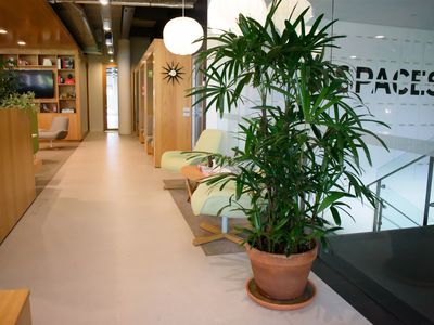 coming-soon-high-margin-plant-service-business-7