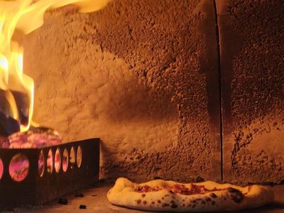 profitable-mobile-hospitality-business-with-strong-returns-3