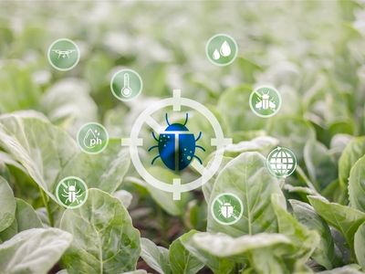 chemical-free-pest-control-manufacturer-amp-retailer-0