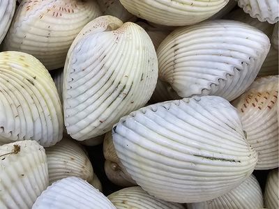 fresh-seafood-business-profitable-3