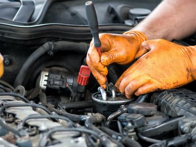 future-auto-service-centre-brendale-for-sale-0