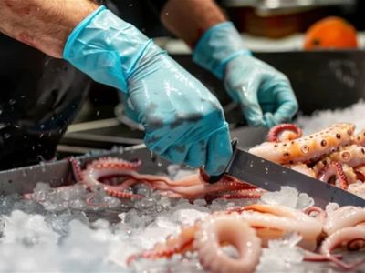 thriving-seafood-processing-business-established-clientele-5
