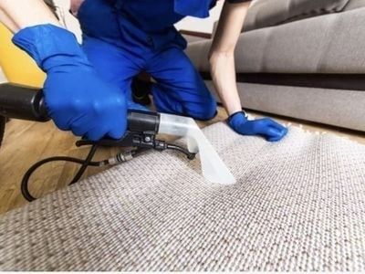 highly-successful-carpet-cleaning-1