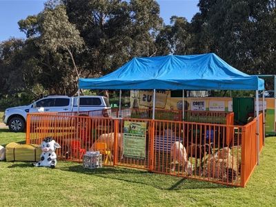 the-ultimate-kids-party-event-hire-business-fun-farm-2u-3