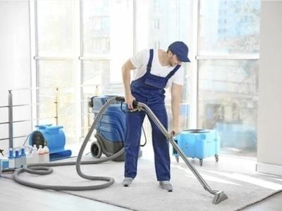 highly-successful-carpet-cleaning-4