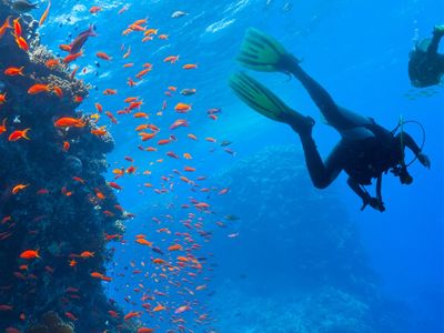 coming-soon-scuba-diving-business-bali-1