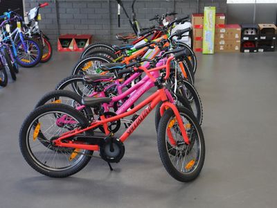leading-regional-bike-store-profitable-amp-established-3