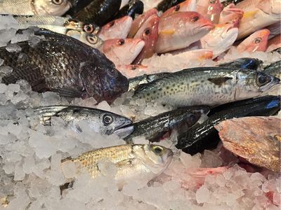 fresh-seafood-business-profitable-2