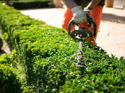 landscaping-business-recurring-revenue-strong-growth-6