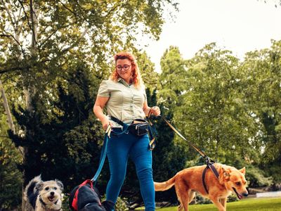 lifestyle-dog-walking-business-0
