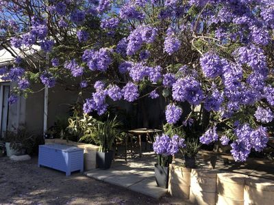 backpacker-business-geraldton-freehold-also-available-2