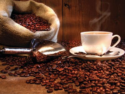 coffee-works-mareeba-far-north-queensland-1