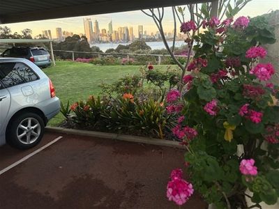 landscaping-amp-maintenance-easy-to-run-2