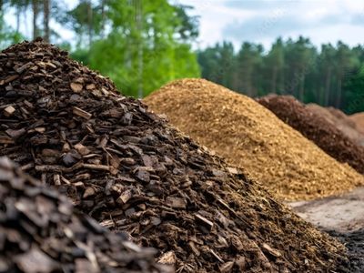 long-established-tree-services-business-coastal-lifestyle-4