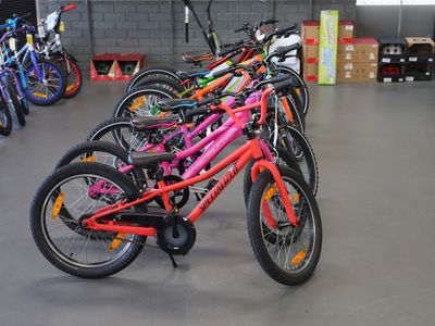 coming-soon-leading-regional-bike-store-profitable-3