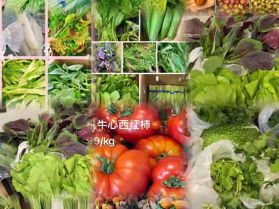 established-specialty-asian-grocer-revenue-420k-7