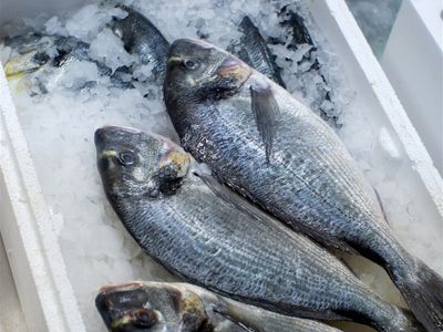 coming-soon-fresh-seafood-business-easy-to-run-2