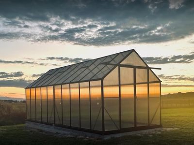 no-shop-no-stock-no-staff-no-kidding-0