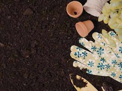 landscaping-amp-garden-supply-business-0