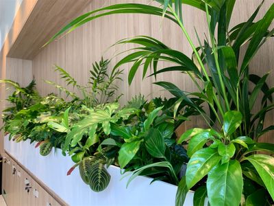 high-margin-plant-service-business-3