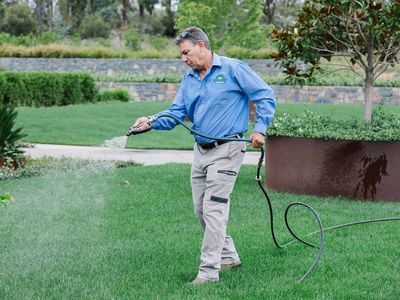 established-coochie-hydrogreen-franchise-located-in-bendigo-4