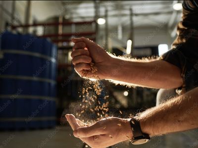home-brewing-retail-business-brisbane-northside-wiwo-1