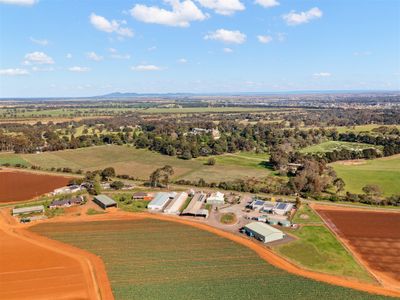 wholesale-production-business-agriculture-1m-owners-profit-0