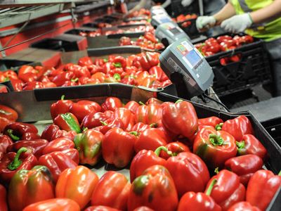 hydroponic-vegetable-crop-farm-land-buildings-amp-machinery-1