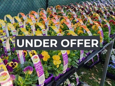 invest-and-grow-with-easy-colour-wholesale-nursery-0