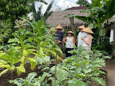 eco-resort-indonesia-well-established-2