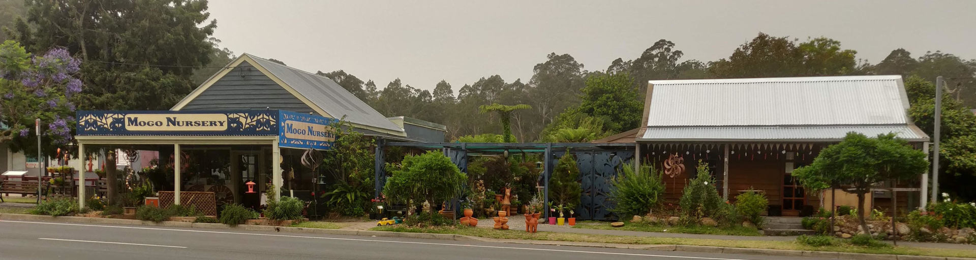 Mogo Nursery & Freehold for Sale! Amazing Potential for Further