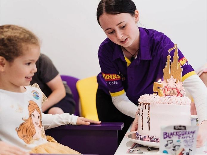 price-reduced-chipmunks-indoor-playland-and-caf-233-4