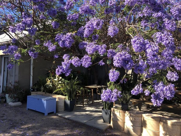 accommodation-business-amp-property-geraldton-wa-2