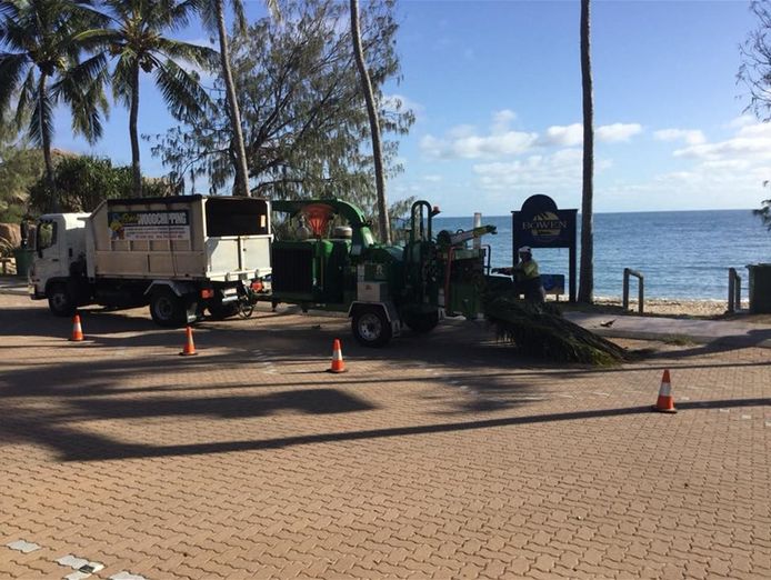 long-established-tree-services-business-coastal-lifestyle-9