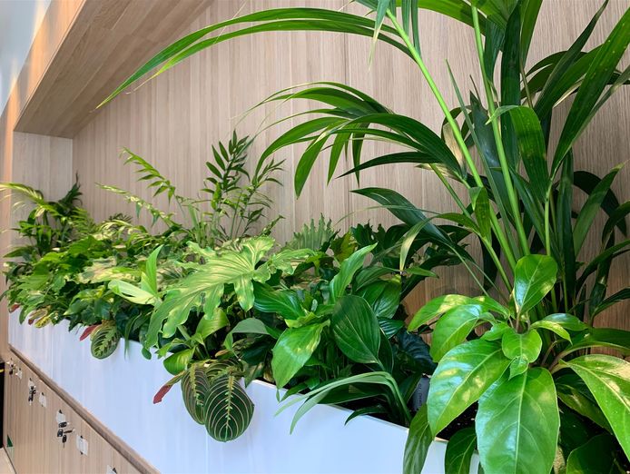 high-margin-plant-service-business-3