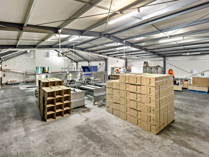 egg-production-retail-amp-hospitality-business-2