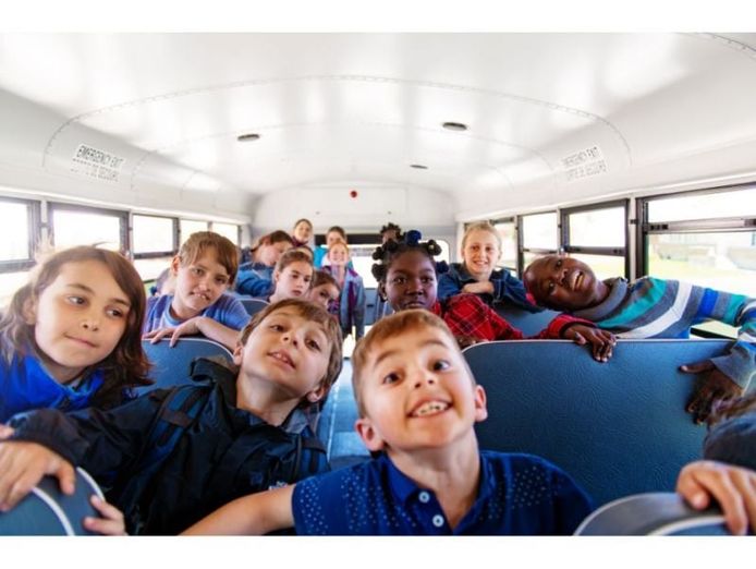 School Bus Company - QLD Trans Link Contract in Blackbutt QLD, 4306 ...